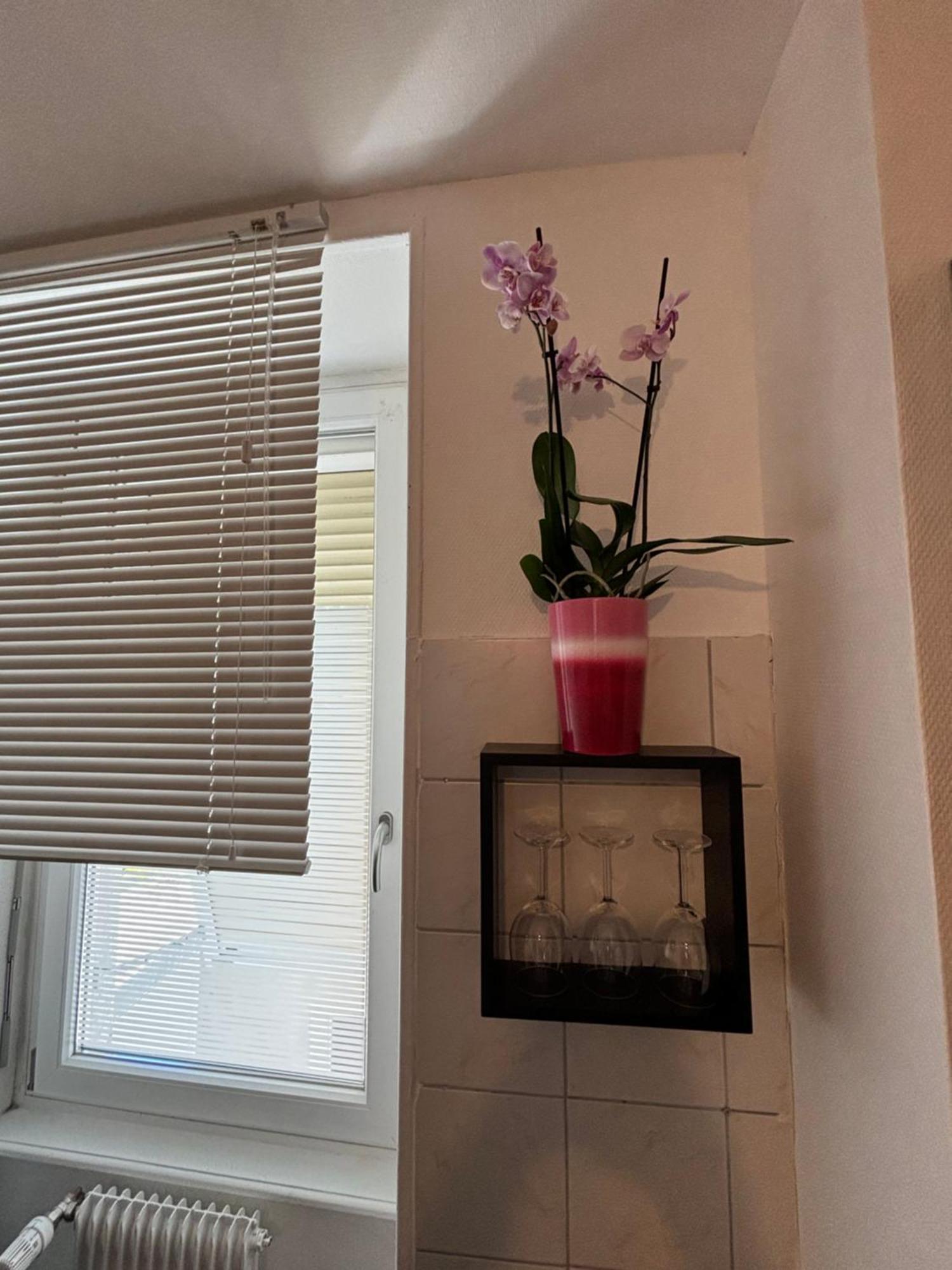 L Alsacienne F2 Centre Ville Mulhouse Kültér fotó